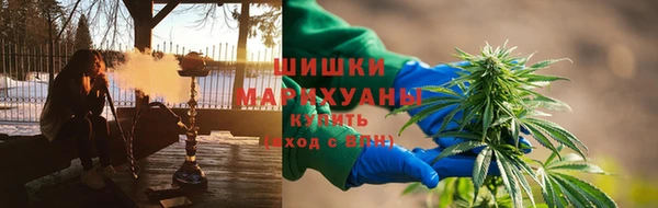 крисы Богородск