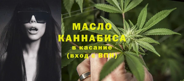 крисы Богородск