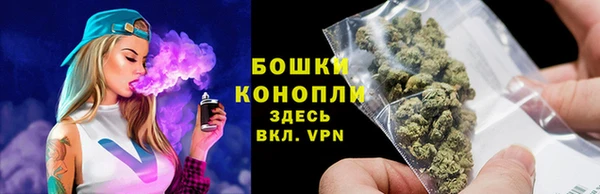 крисы Богородск