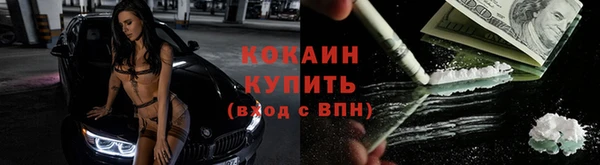 прущий лед Богородицк